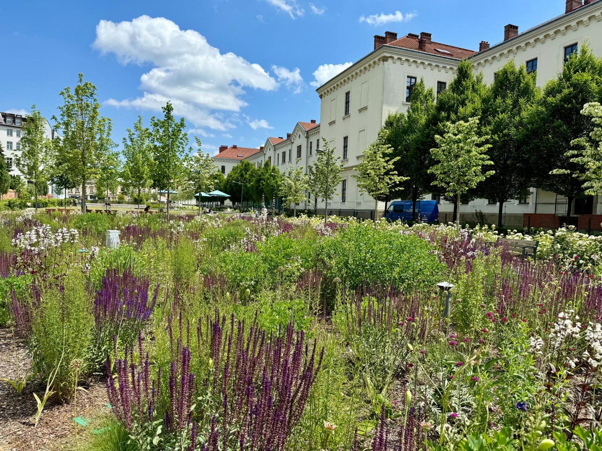 Gio Apartments, Luxury, Old Town Cracow Cracóvia Exterior foto